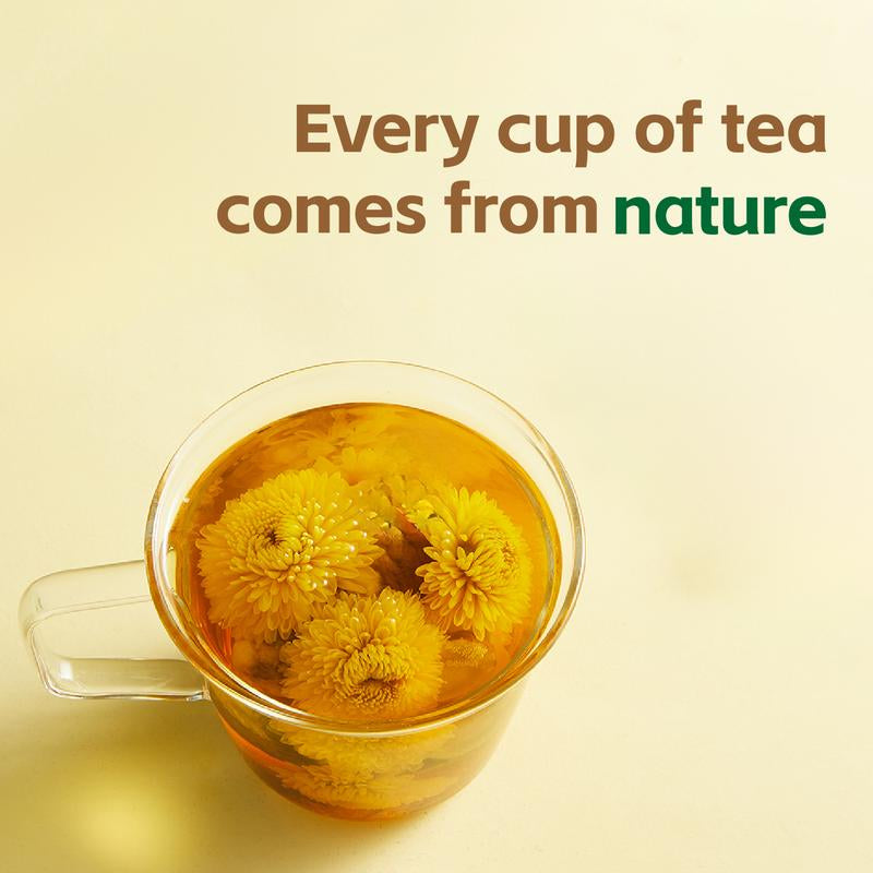 Dandelion Wolfberry Tea - Dandelion Goji Berry Tea - 100% Natural Dandelion Leaves & Roots | 150G per Pack | Caffeine Free